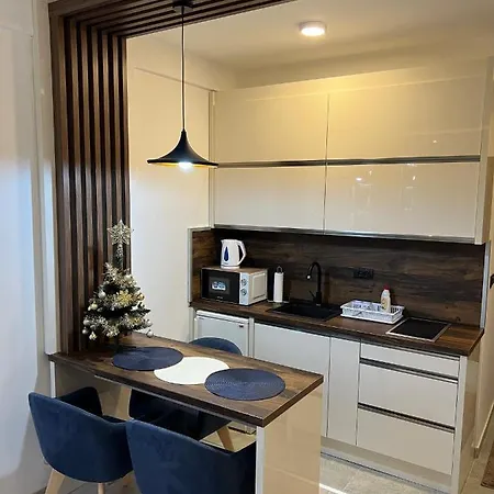 Apartman Holiday 科帕奥尼克 外观 照片