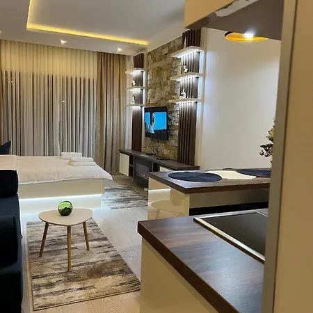 Apartman Holiday 科帕奥尼克 外观 照片